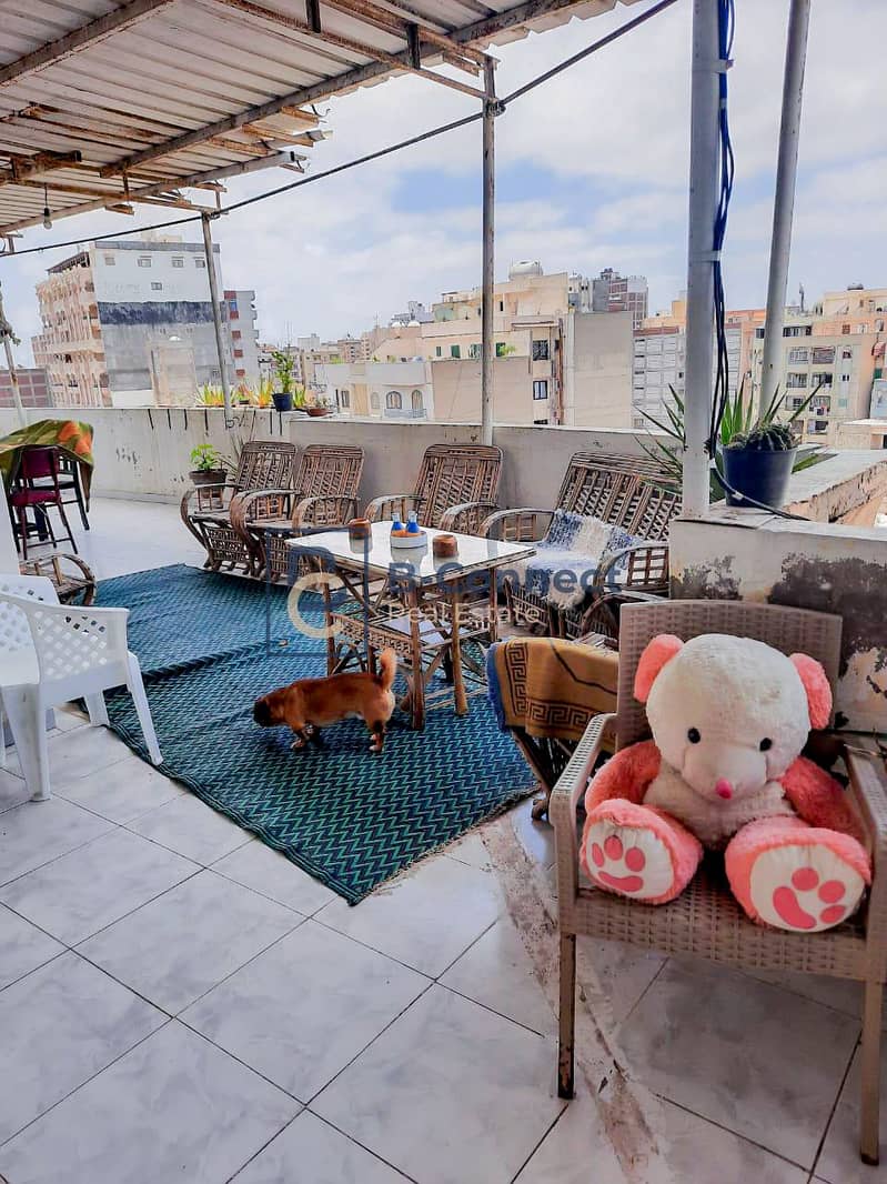 3 WhatsApp Image 2025-12-28 at 6.03. 42 PM (2). jpg