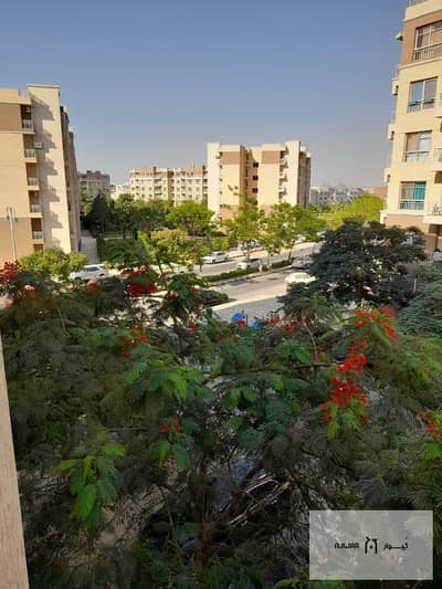 3 Bedroom Apartment for Sale in Madinaty, Cairo - 03287c26-1184-43c1-96e4-a69da9e96cc7. jpg