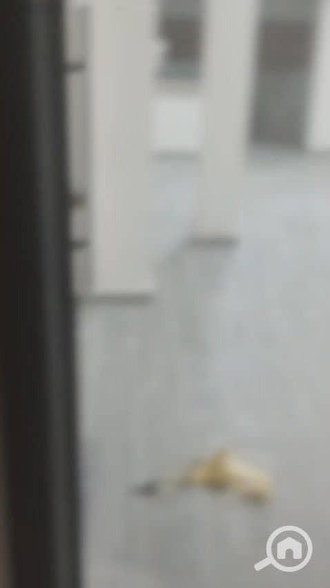 10 3eea03ef-874a-44e8-b906-04a3cd692e6e. jpg