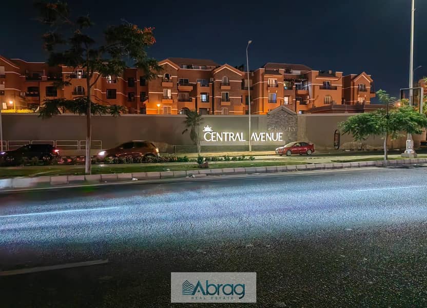 3 63615f86-b61b-4d7d-8fff-d335a46fda9d. jpeg