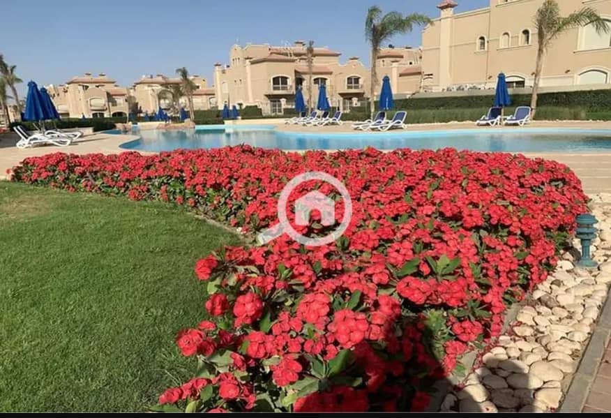 7 WhatsApp Image 2025-12-29 at 3.37. 09 PM (1). jpeg