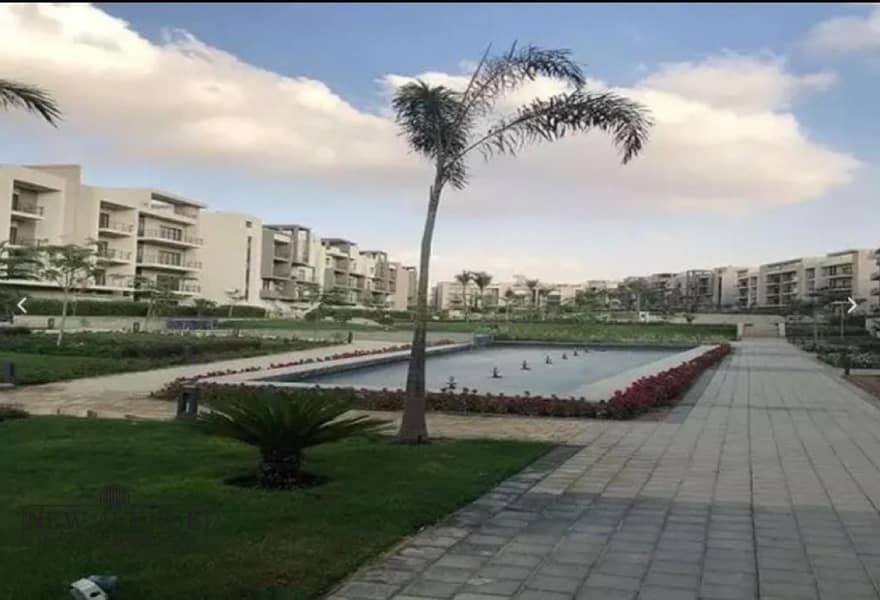 2 6f20ed9c-7af3-45b0-bfca-70bc22522ca1. jpg