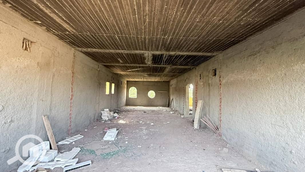 4 3b212bed-b5b4-4937-bfa1-7598cf57b5f8. jpeg