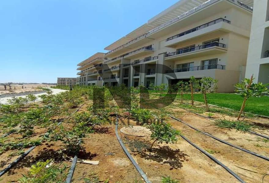 5 69512559e81a7_7603005-9ce83o. jpg