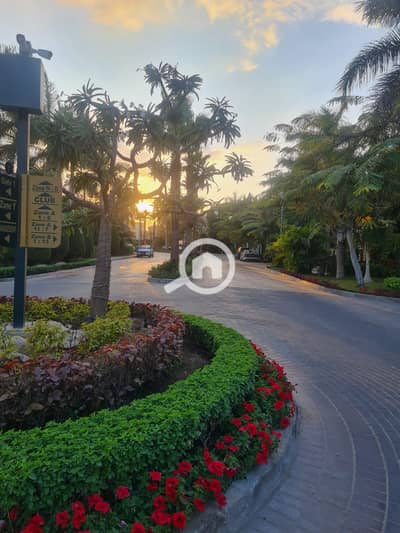 3 Bedroom Townhouse for Rent in New Cairo, Cairo - WhatsApp Image 2025-12-29 at 4.10. 28 PM. jpeg