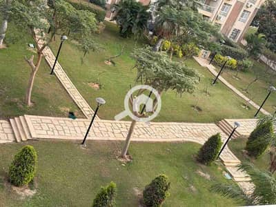 2 Bedroom Flat for Rent in Madinaty, Cairo - 1000538219. jpg