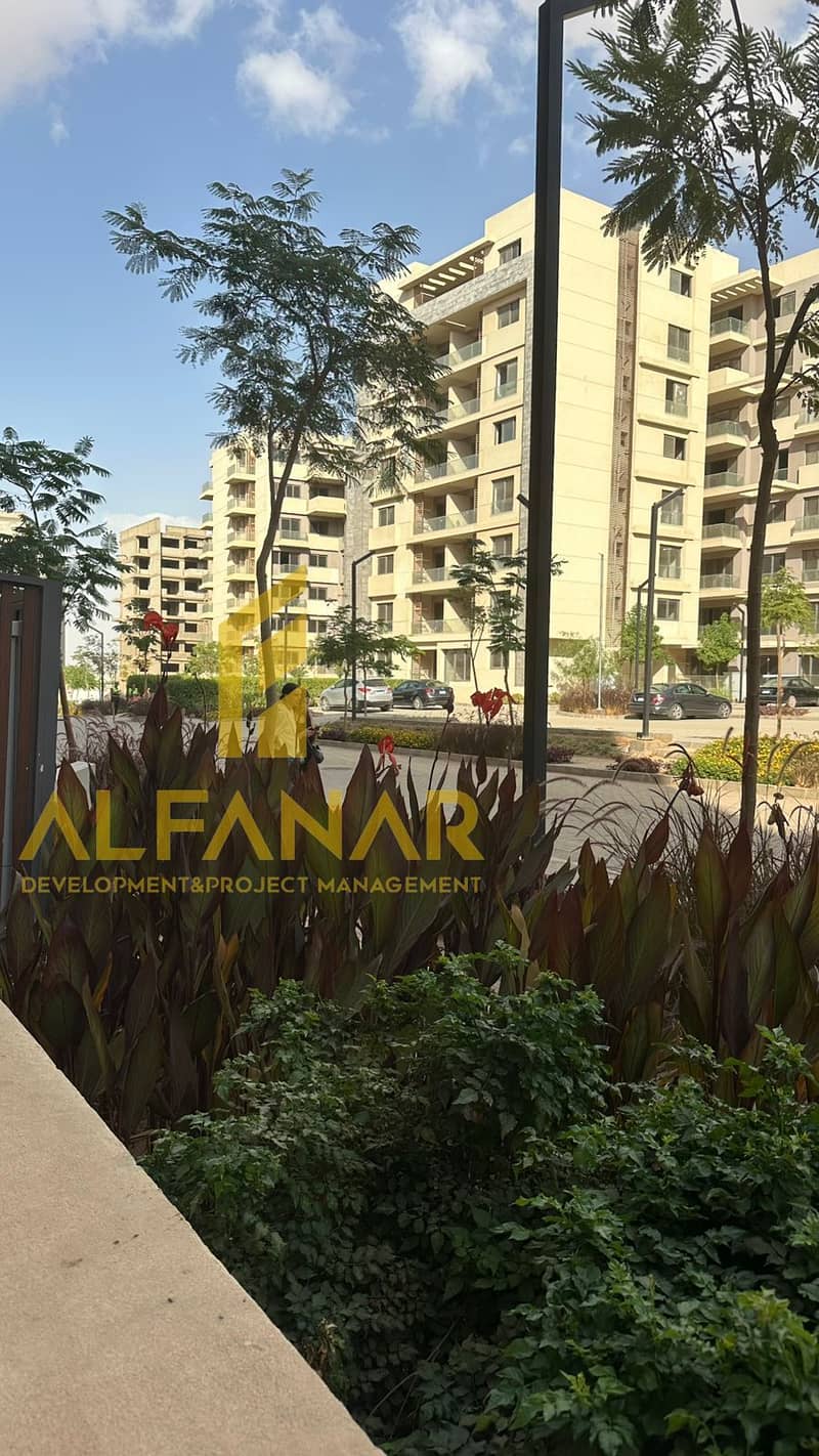 3 WhatsApp Image 2025-12-24 at 16.59. 02. jpeg