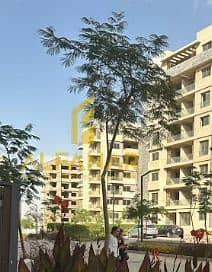 8 WhatsApp Image 2025-12-29 at 4.19. 59 PM. jpeg