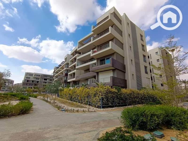 12 WhatsApp Image 2025-08-17 at 12.41. 31. jpeg