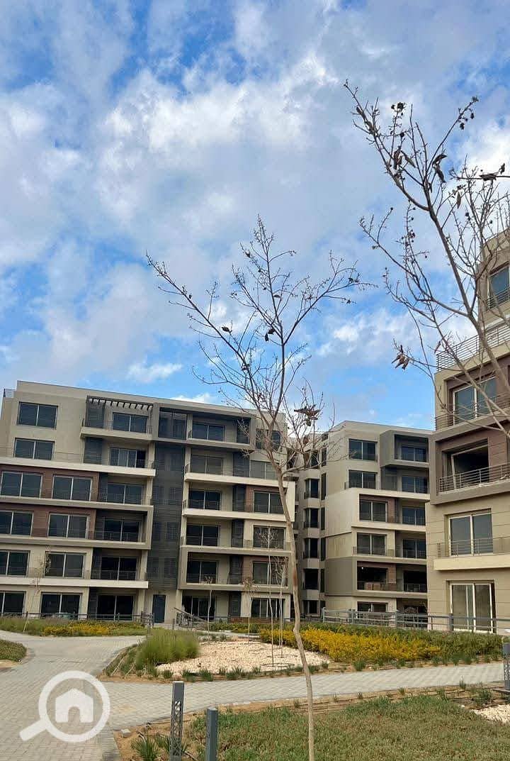 13 WhatsApp Image 2025-08-17 at 12.41. 33. jpeg