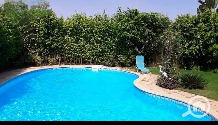 10 91759eb3-9f2c-4272-926a-1836a010297a. jpg