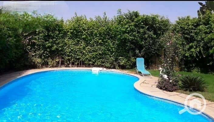 15 eac69414-7c15-4ba3-81ad-2b26f4d8dc53. jpg