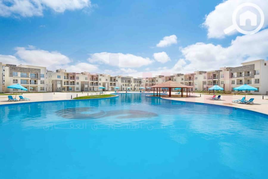 13 WhatsApp Image 2025-12-27 at 10.02. 28 (1). jpg