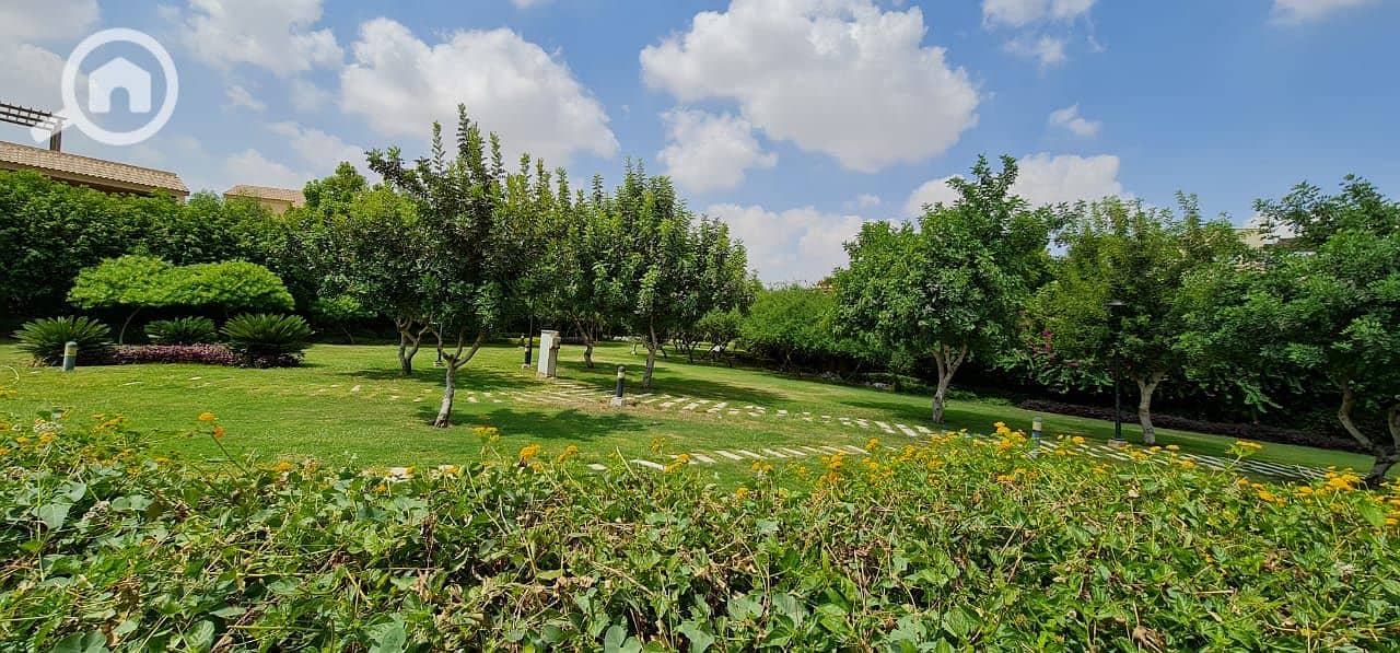 14 b31e2c5f-a93b-4cd0-a822-7fb28b5b0a62. jpg