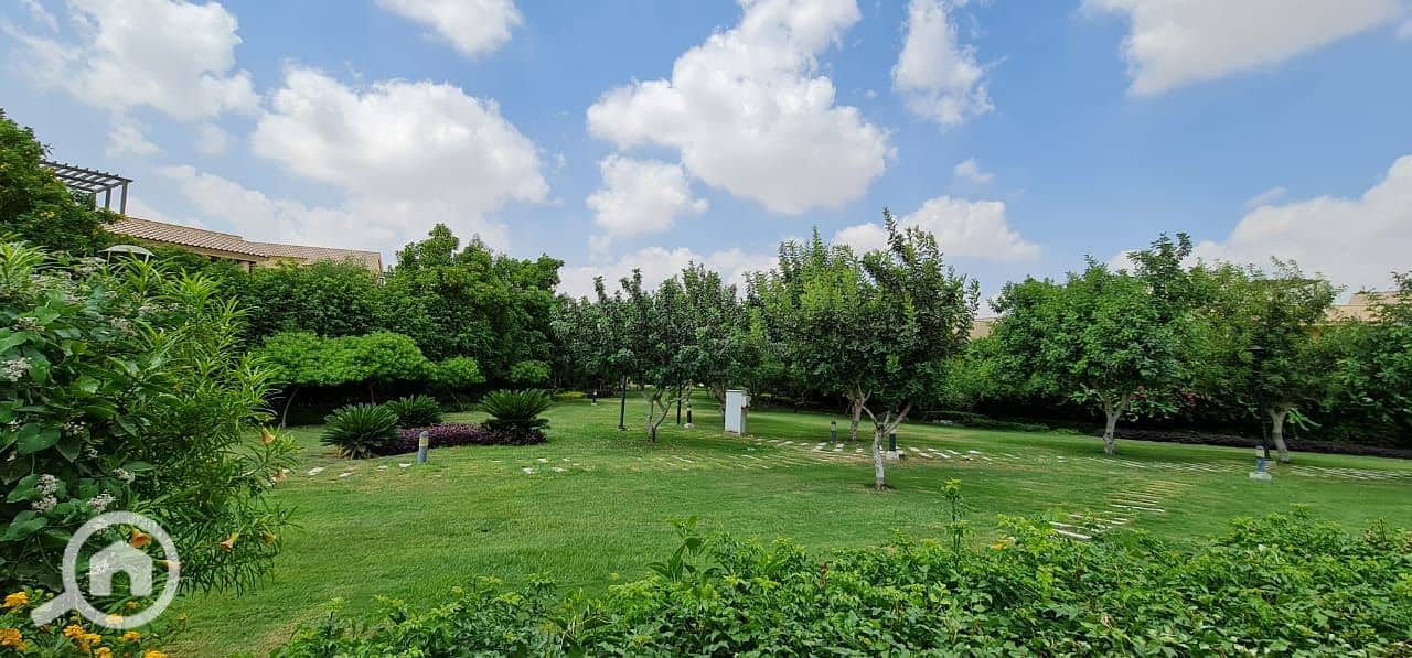 18 c8855455-7905-42ae-b69c-505570c420c4. jpg