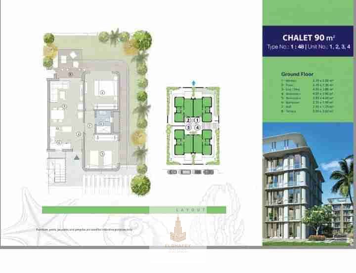 1000017206. jpg 1000017206. jpg