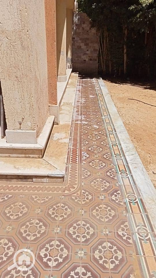 5 46e36b40-22f0-429d-a58d-74559bd89af6. jpg