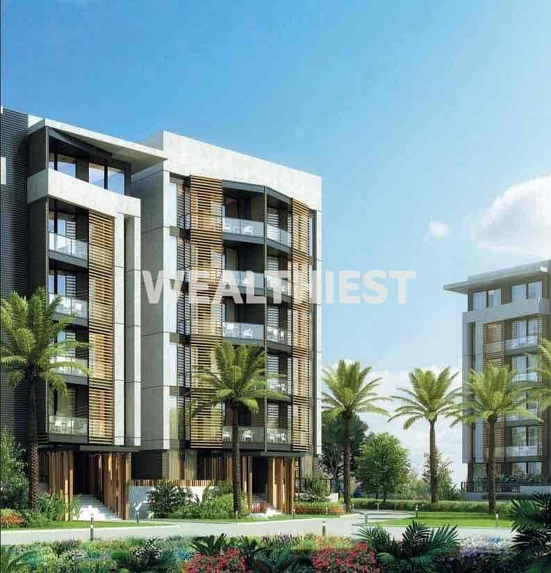 2 7858abf7-3ef7-4bb4-aa7f-4871c789524a. jpg