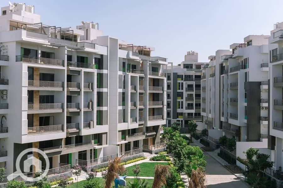 4 WhatsApp Image 2025-08-31 at 1.32. 50 PM (2) - Copy. jpeg