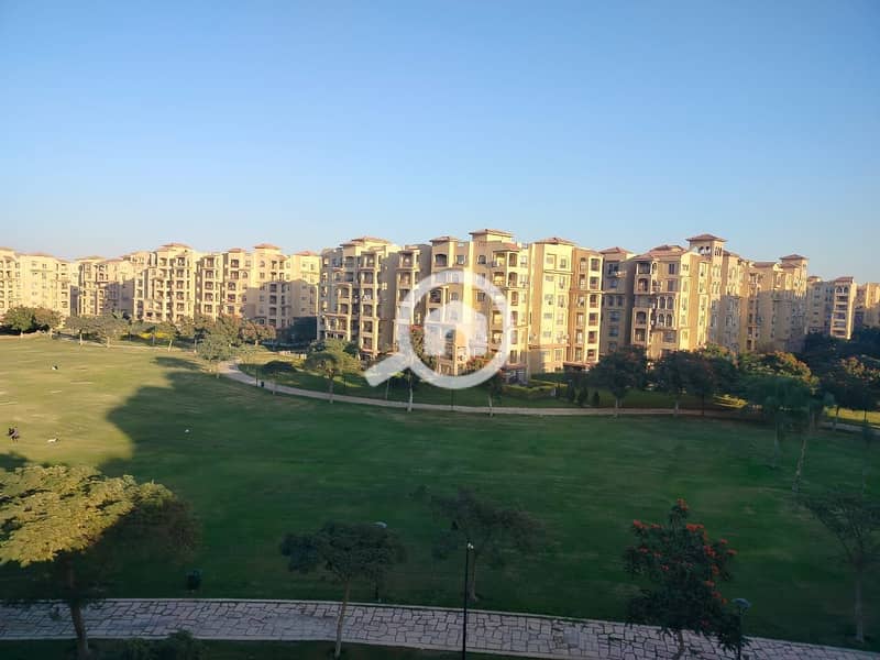 3 00446859-af44-4bcf-a514-3f733f2ab43f. jpg