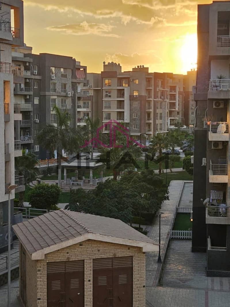 11 5947378074364087843. jpg