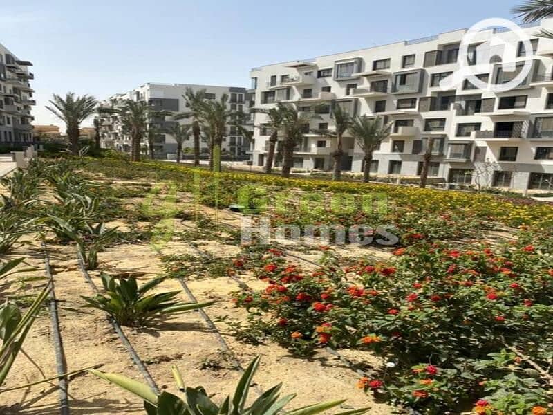 4 5bdbe9a6-4ca4-11ee-94da-ba61671339da. jpeg