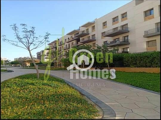 6 9a2581d4-6133-11ee-b5b8-3a63d8ed90e6. jpeg