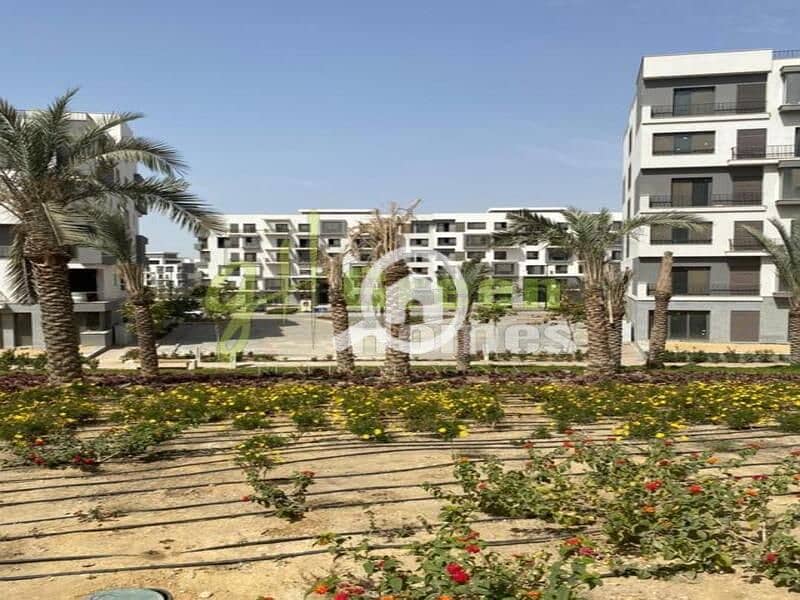 9 572c15a8-4ca4-11ee-8cf1-a2303e26c315. jpeg