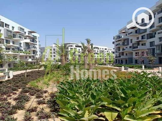 10 976ccc10-6133-11ee-b5b8-3a63d8ed90e6. jpeg