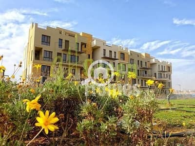 دوبلكس 3 غرف نوم للبيع في القاهرة الجديدة، القاهرة - 995d3da8-6133-11ee-bade-c68390fbc344. jpeg