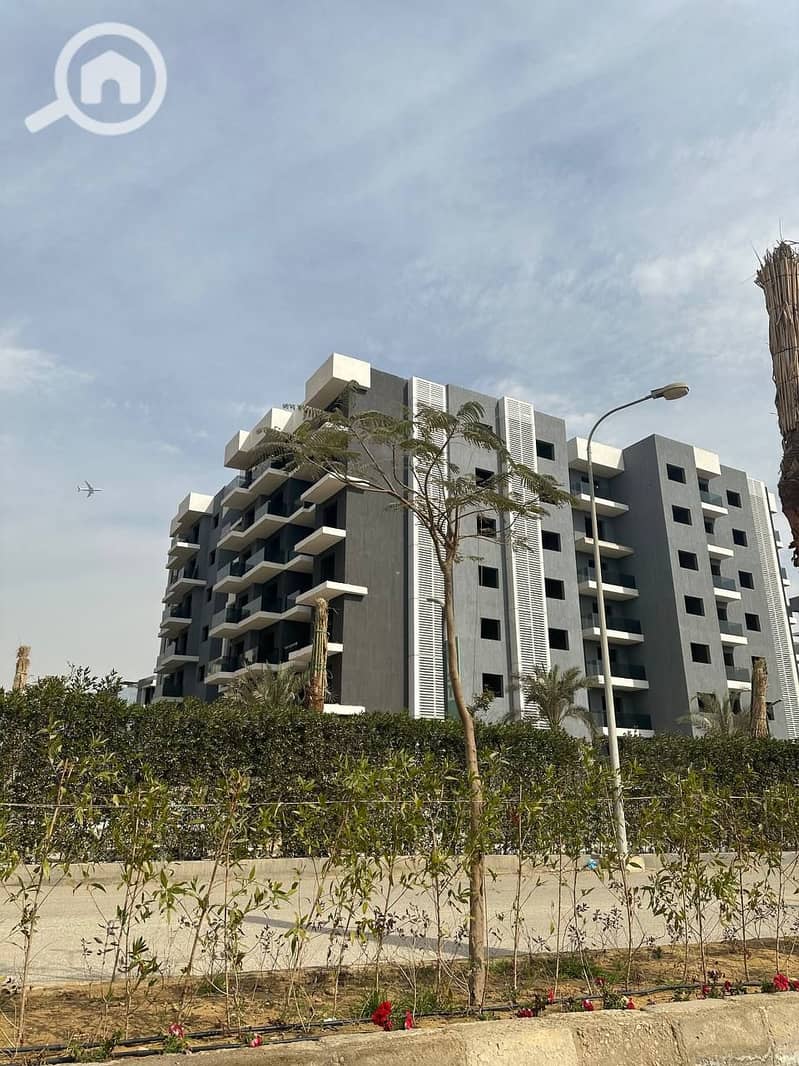 11 81ad9903-320c-4aee-af3f-edbca95540ce. jpg