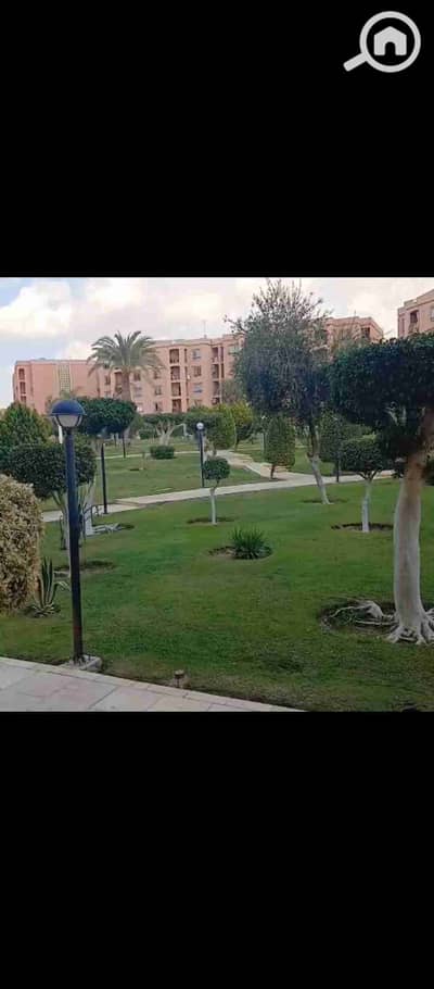 فلیٹ 2 غرفة نوم للايجار في القاهرة الجديدة، القاهرة - 1000016727. jpg