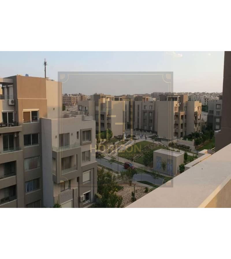 6 8450466-aa9c5o. jpg