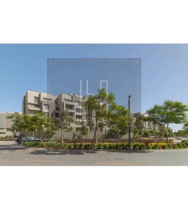 7 8455246-686fbo. jpg