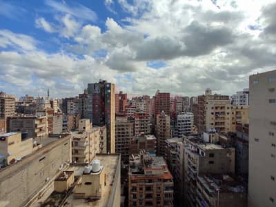 3 Bedroom Flat for Sale in Miami, Alexandria - WhatsApp Image 2025-12-29 at 3.32. 25 PM (1). jpg