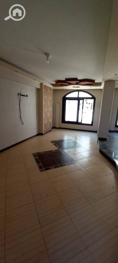 2 Bedroom Apartment for Sale in Smoha, Alexandria - WhatsApp Image 2025-12-22 at 9.59. 05 PM. jpeg