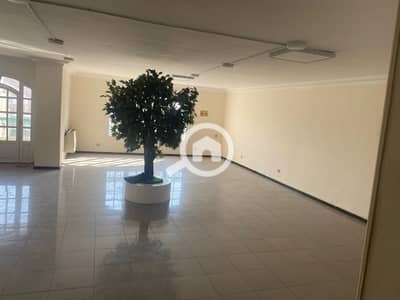 فلیٹ 4 غرف نوم للايجار في مدينة نصر، القاهرة - 1001086330. jpg