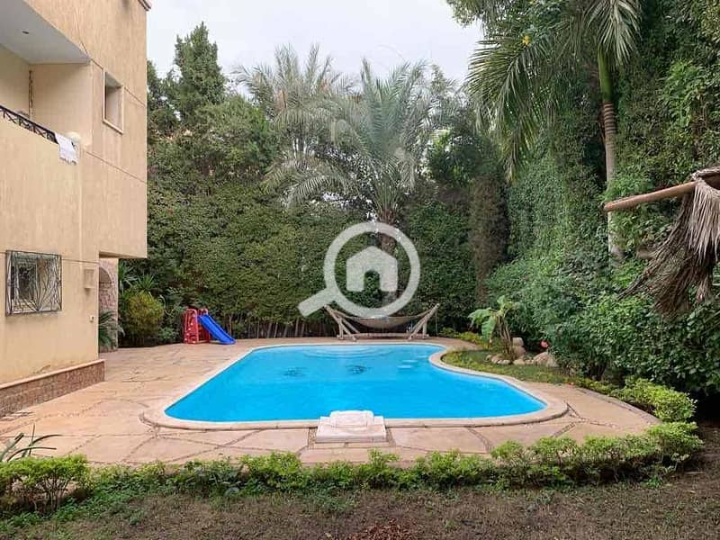 12 92bc0775-41ea-4be4-97e3-ae407ea60e60. jpg