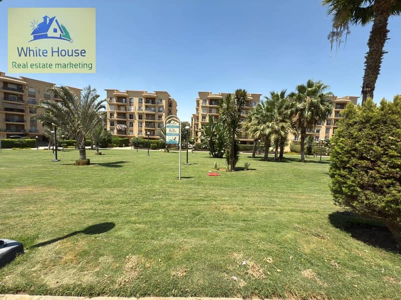 12 510346a9-70d7-4b22-80e7-467f257b61f7. jpeg