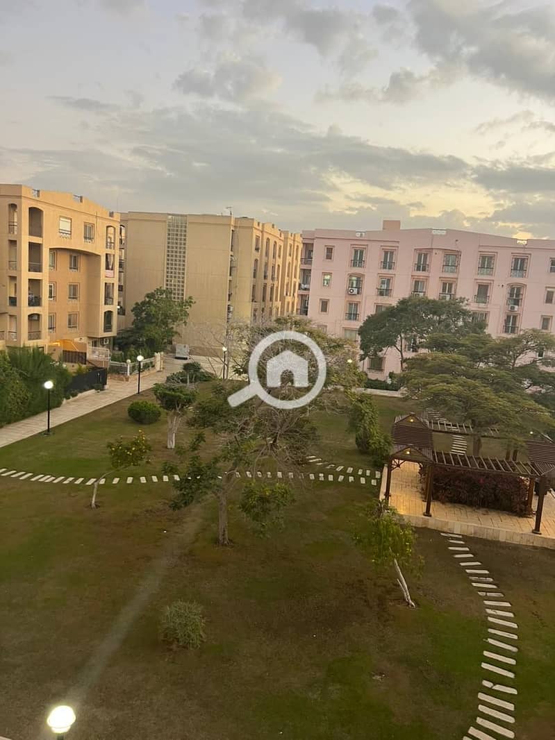 11 c45a897e-adb2-4bd3-9080-53dcf1a2371e. jpeg