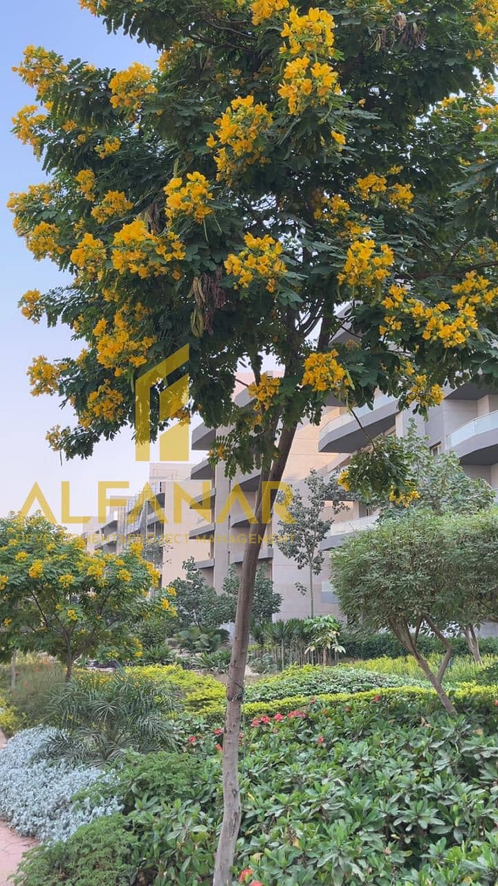 2 WhatsApp Image 2025-12-24 at 17.54. 07 (2). jpeg