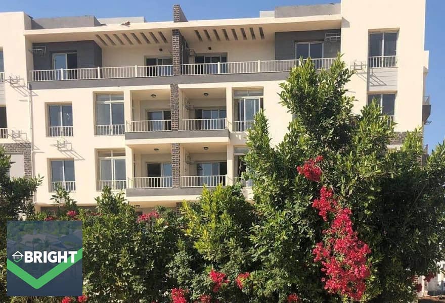 3 5cf34f30-53de-47f4-8c3c-98eb81f161cd. jpg