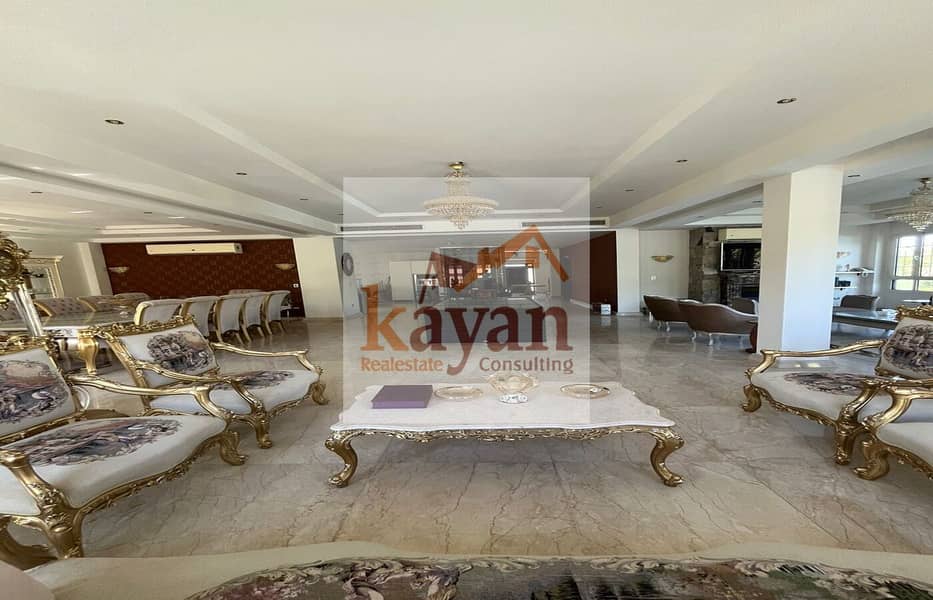 2 4f243d76-a911-4254-8b22-6947588029a4. jpg