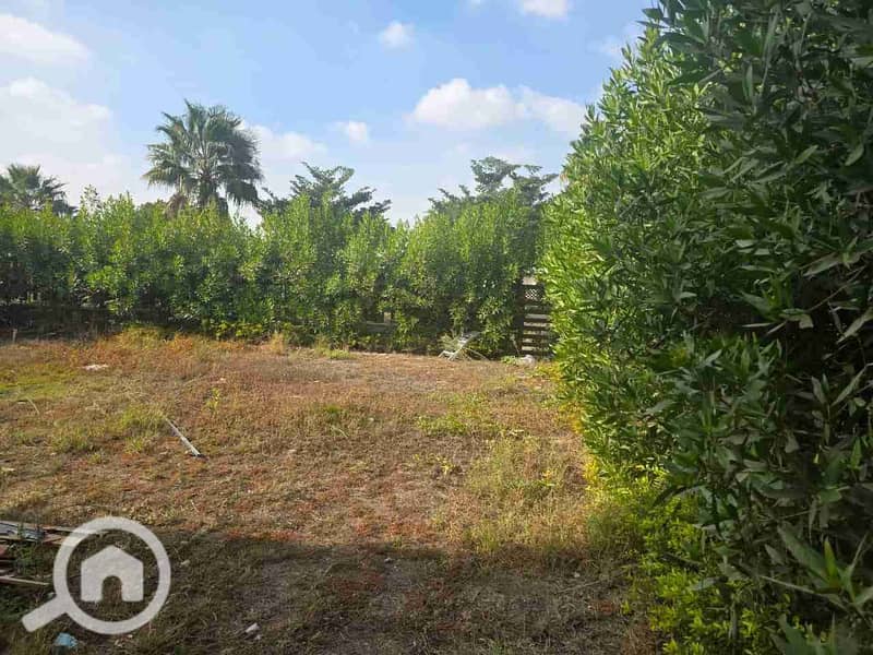 12 IMG-20251228-WA0057. jpg