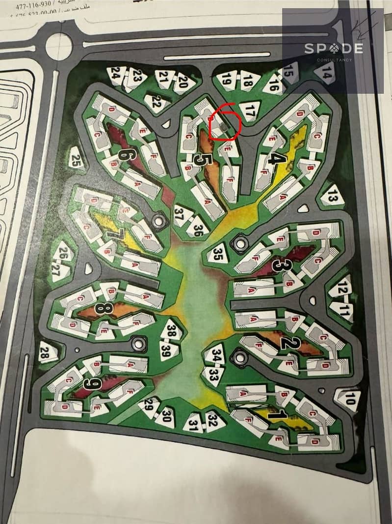 12 WhatsApp Image 2025-12-04 at 11.33. 43 AM. jpeg