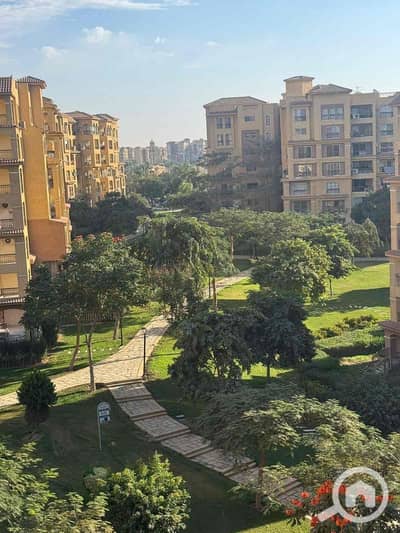 3 Bedroom Flat for Sale in Madinaty, Cairo - 552d4ba9-c399-42bb-ae4b-3dca6fb71a17. jpg