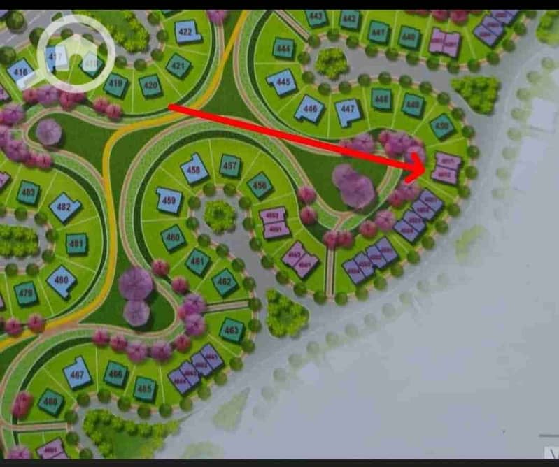 1000366950. jpg 1000366950. jpg