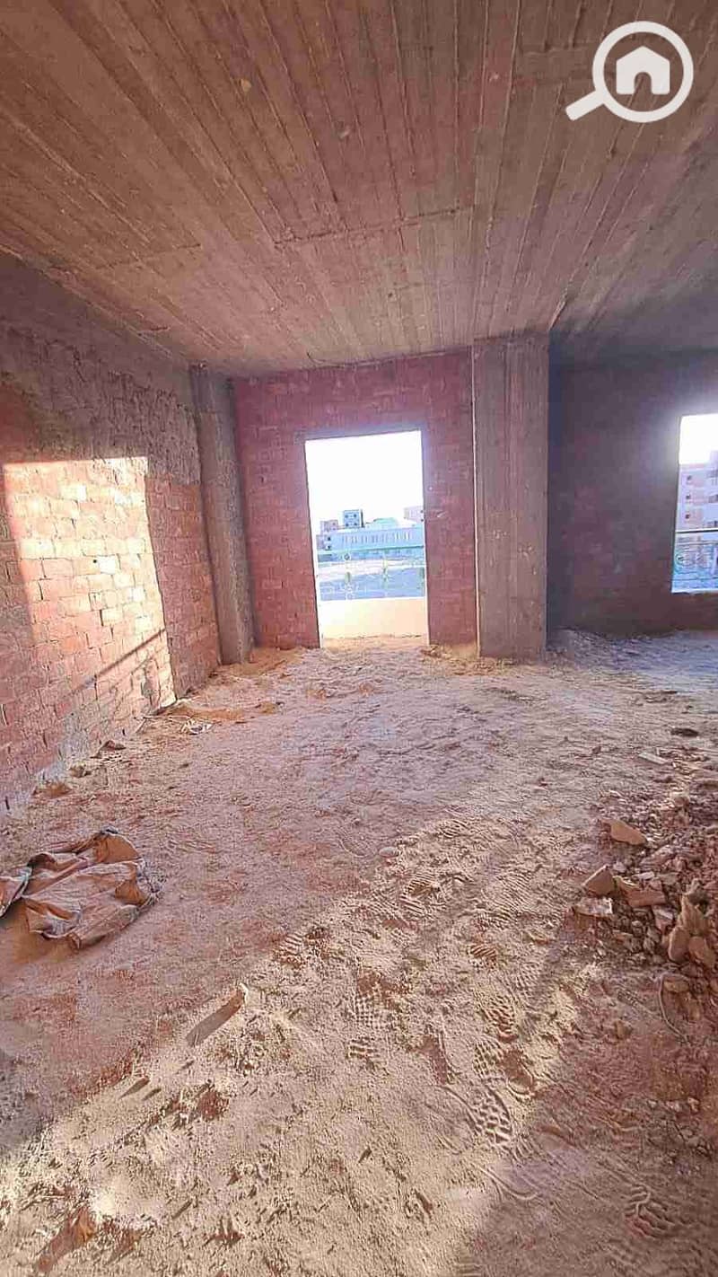 1000008271. jpg 1000008271. jpg