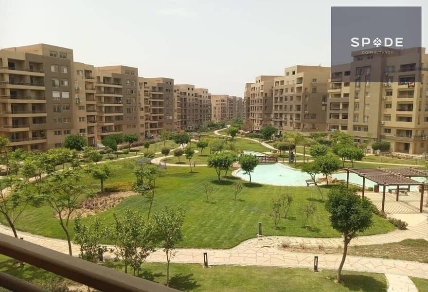 6 d5cf1fca-dc73-4def-93a1-13608ca466db. jpg