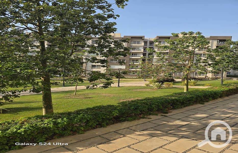 5 78c9b421-7a64-4daa-a92b-c6dac76d01ca. jpg